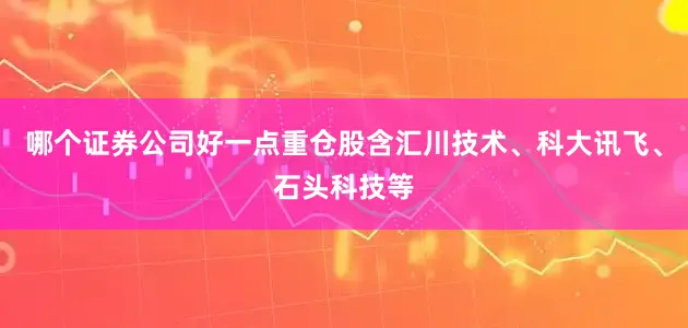 哪个证券公司好一点重仓股含汇川技术、科大讯飞、石头科技等