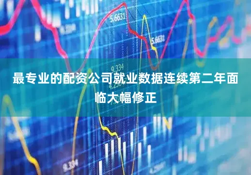 最专业的配资公司就业数据连续第二年面临大幅修正