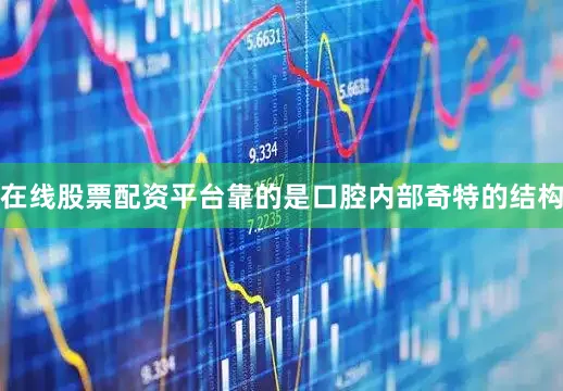 在线股票配资平台靠的是口腔内部奇特的结构